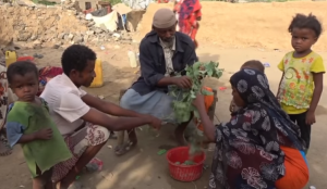 شاهد بالفيديو.. وفاة طفلة يمنية بعد أيام من ظهورها في تقرير لوكالة أمريكية وهي تأكل ورق الأشجار لسد جوعها